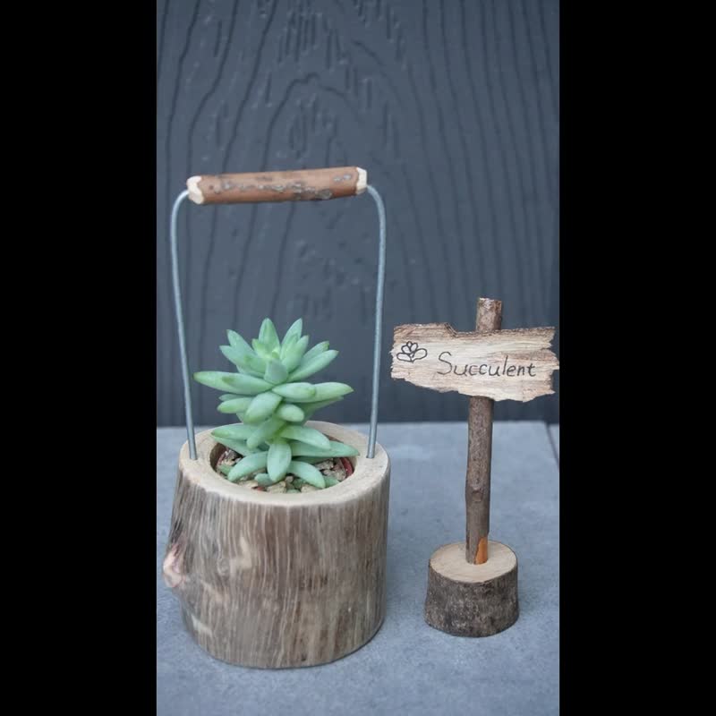 Small succulent bucket with wooden name tag---Green Design Studio - ตกแต่งต้นไม้ - ไม้ 