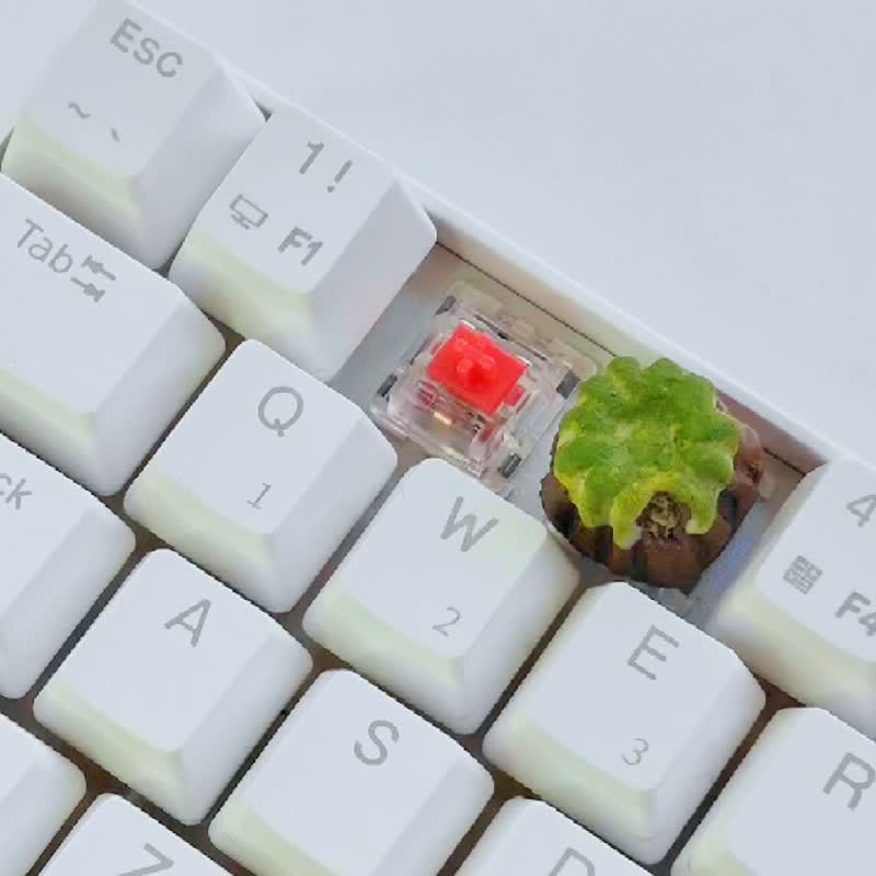 Kanure keycaps (orange) for mechanical Cherry mx switches - Computer Accessories - Clay Orange