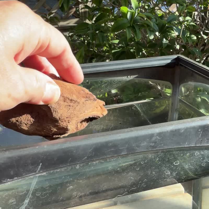 加里曼丹 野生沉香老料 92公克 沉香擺件 【沉水級】 星洲系 - 香氛/精油/擴香 - 木頭 卡其色