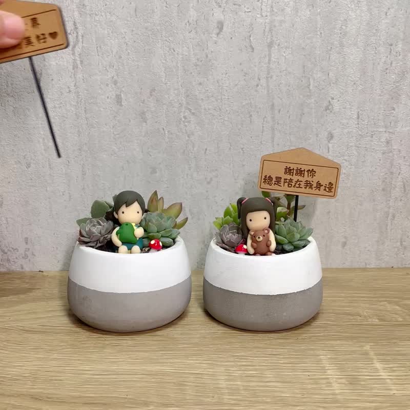 Boys and Girls-Succulents Small Round Cement Potted Plants (with Flower Card) Valentine&#39;s Day Customized Gift