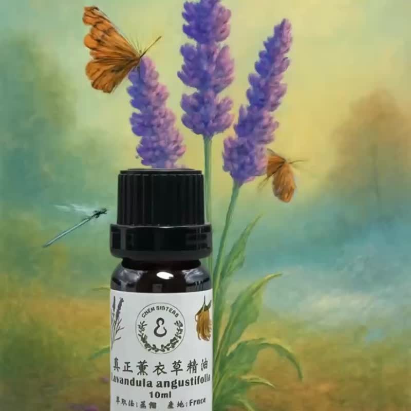 100%純正 薰衣草精油 插畫明信片 每一滴香氣 都蘊藏藝術靈感 - 香氛/精油/擴香 - 精油 白色