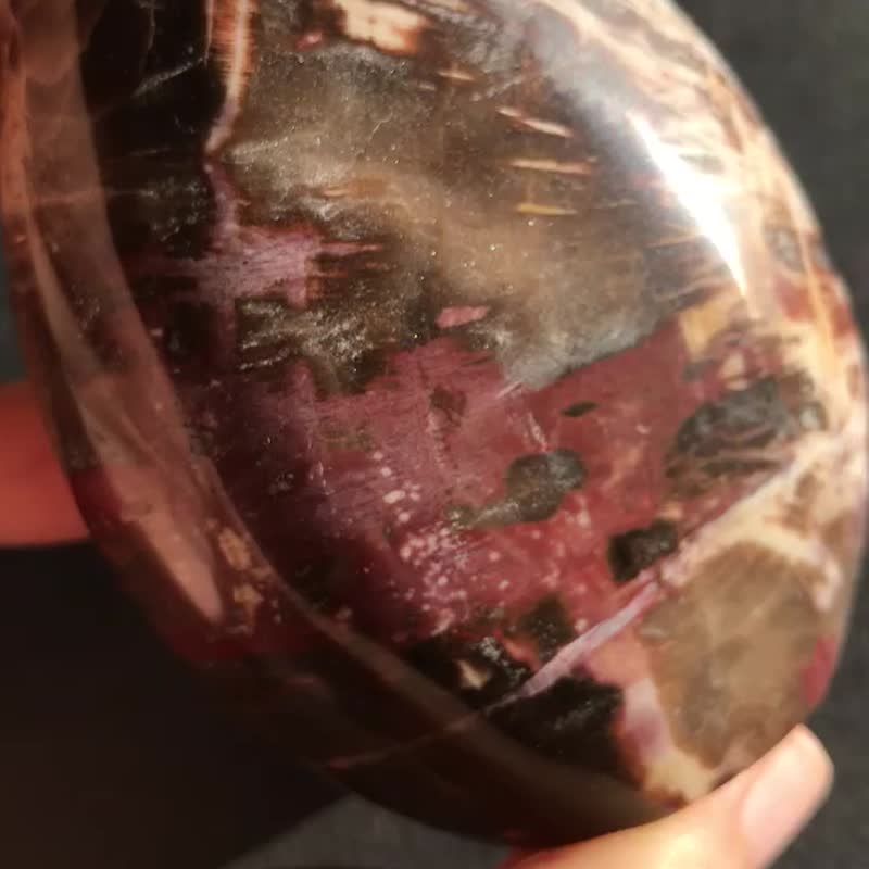 帶閃星光 木化石 樹化玉 水晶 天然原石 crystal 擺設 - 裝飾/擺設  - 石頭 紅色