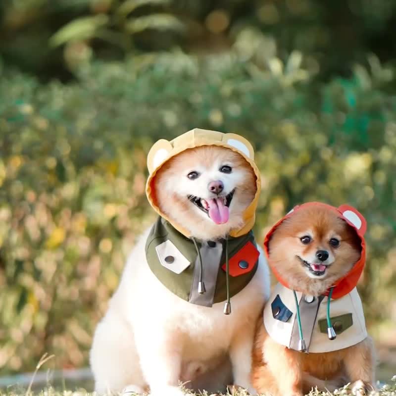 【寵物山系玩味服飾】CAMPING BEAR  - 軍綠色 - 寵物衣服 - 其他人造纖維 綠色