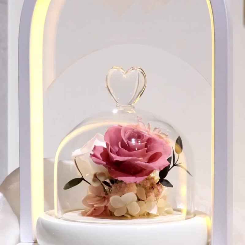永生花拱型心型玻璃花盅夜燈-乾燥玫瑰+白色系 - 乾花/永生花 - 植物．花 