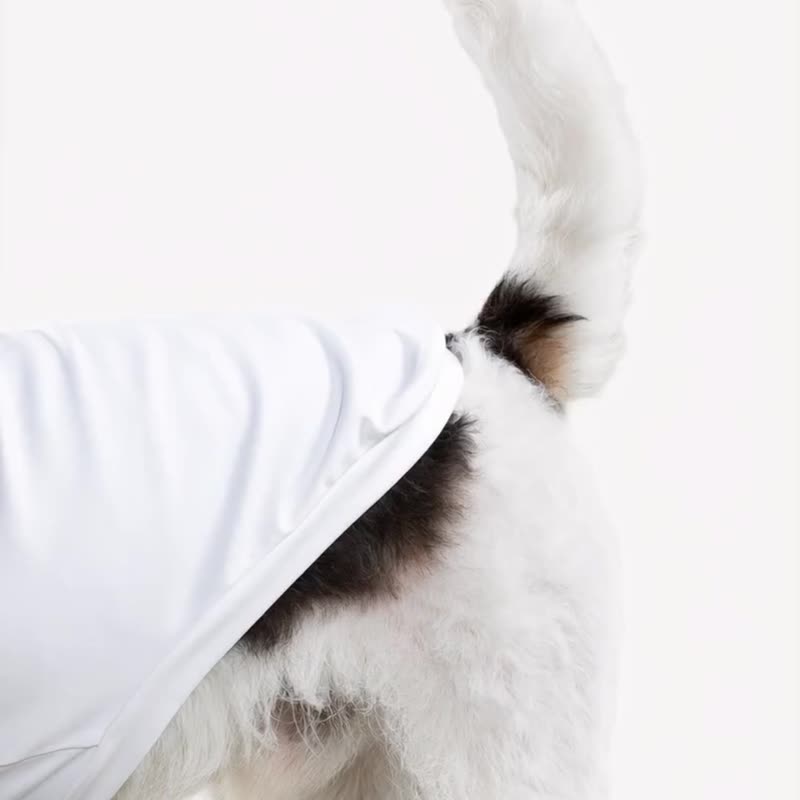bump up【Com-Fit】瑜伽高彈小高領打底寵物狗狗衣服 - 寵物衣服 - 其他人造纖維 白色