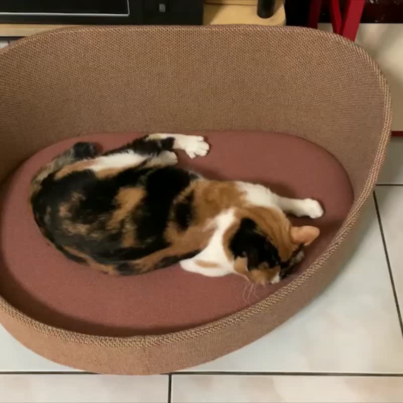 Sofa type pet bed / made in Taiwan / bentwood cat bed / soft clothes dog bed - Other - Wood 