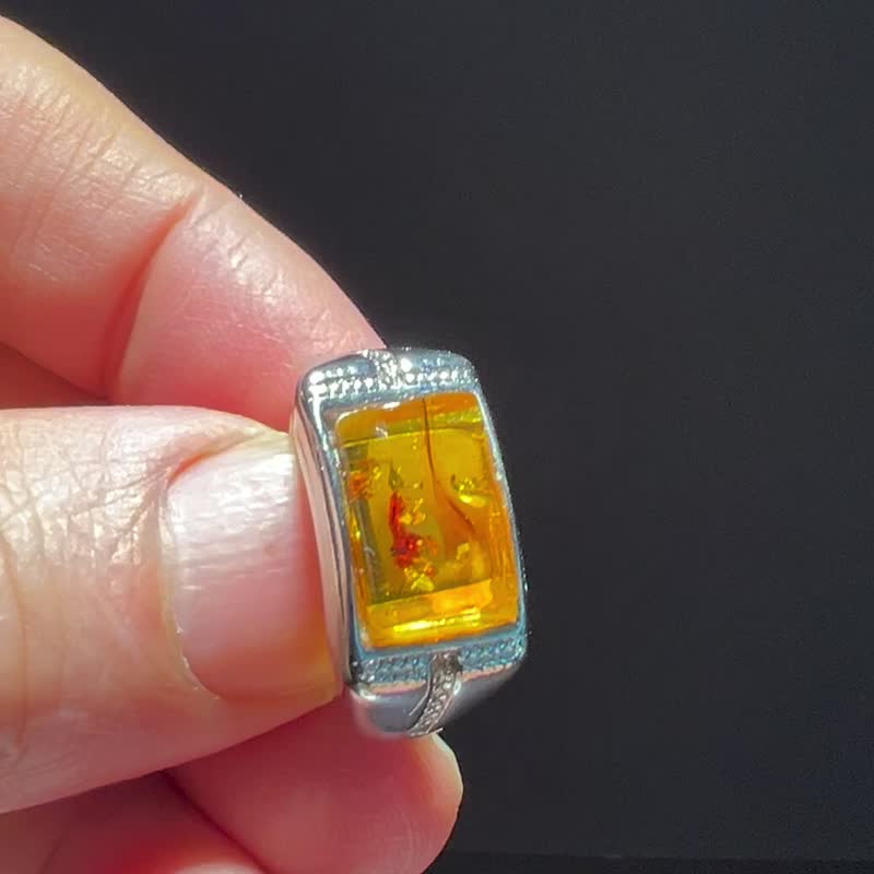 琥珀 Baltic Amber 天然波羅的海金珀 戒指 5.95克 植物珀 非二代 - 戒指 - 半寶石 金色