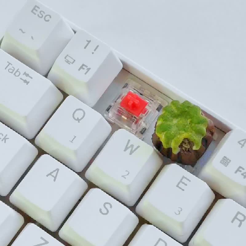Kanure keycap (strawberry) for mechanical Cherry mx switches
