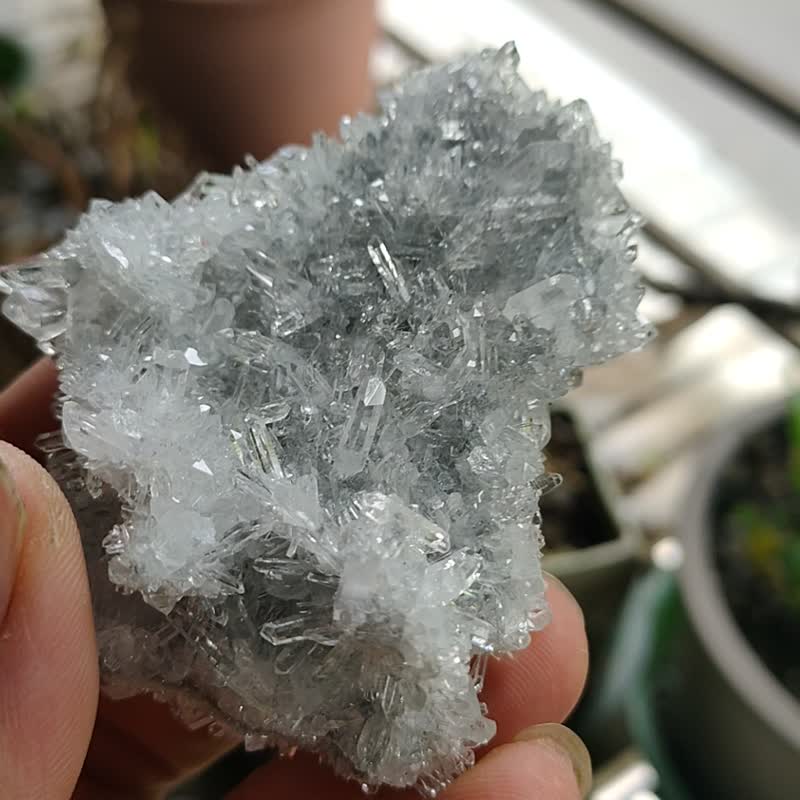 菊花晶白水晶簇  礦石/水晶/靈修/開運/招財/破煞/防小人 - 擺飾/家飾品 - 水晶 