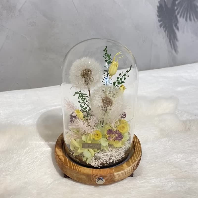小夜燈 蒲公英 畢業禮物 - 乾燥花/永生花 - 植物．花 多色