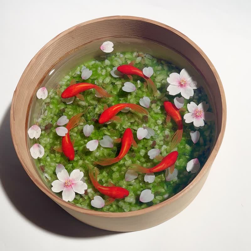 木桶で泳ぐ金魚　特大　ソメイヨシノ　置物 - 擺飾/家飾品 - 樹脂 紅色