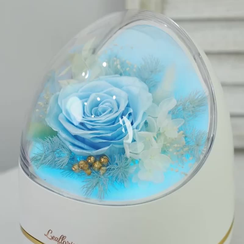 Valentine's Day Everlasting Flower Aromatherapy Machine and Humidifier Gift Box Set (Free Natural Aromatherapy Essence) - ของวางตกแต่ง - พืช/ดอกไม้ ขาว