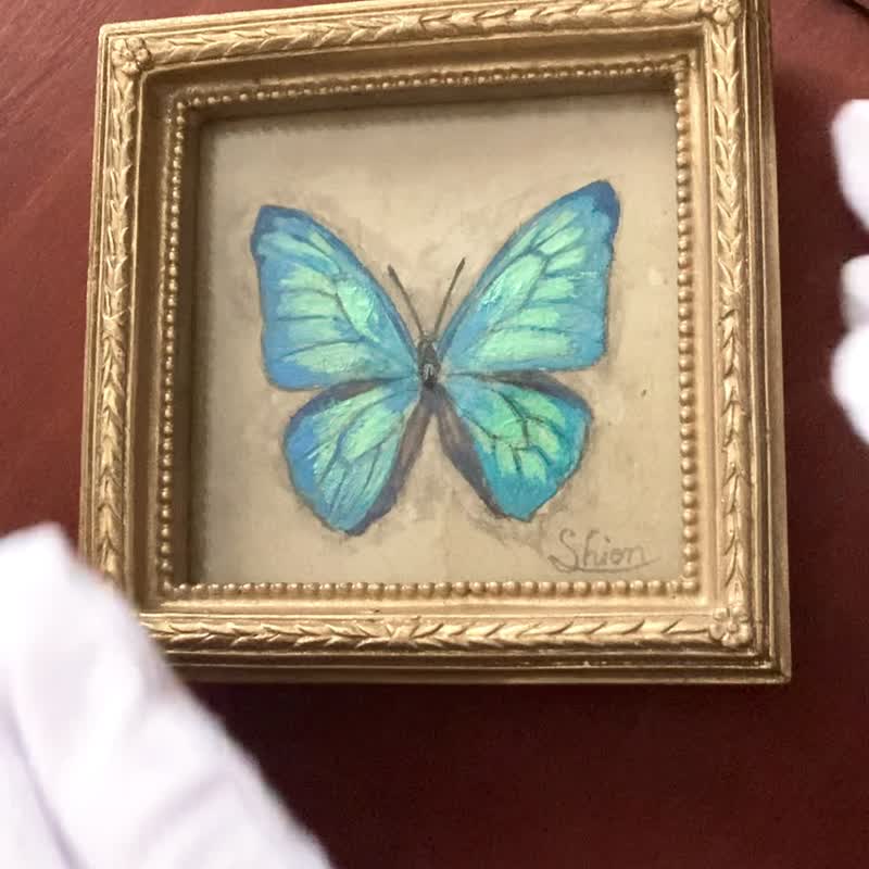 モルフォ蝶の絵, スルコウスキーモルフォ,額縁付き,原画