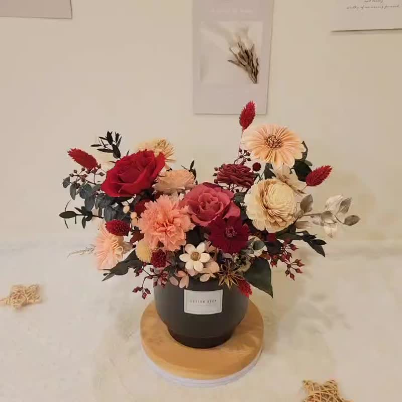 永生玫瑰桌花。盆花。擺飾。附包裝。開幕花禮 - 乾燥花/永生花 - 植物．花 