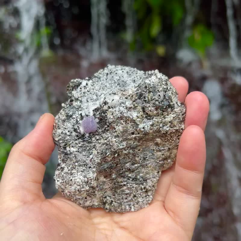 藍寶石剛玉原礦 附磨石子底座 - 裝飾/擺設  - 水晶 紫色