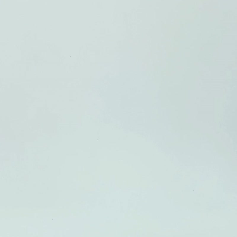 黑白格子小花領長袖上衣 - 女上衣/長袖上衣 - 棉．麻 黑色