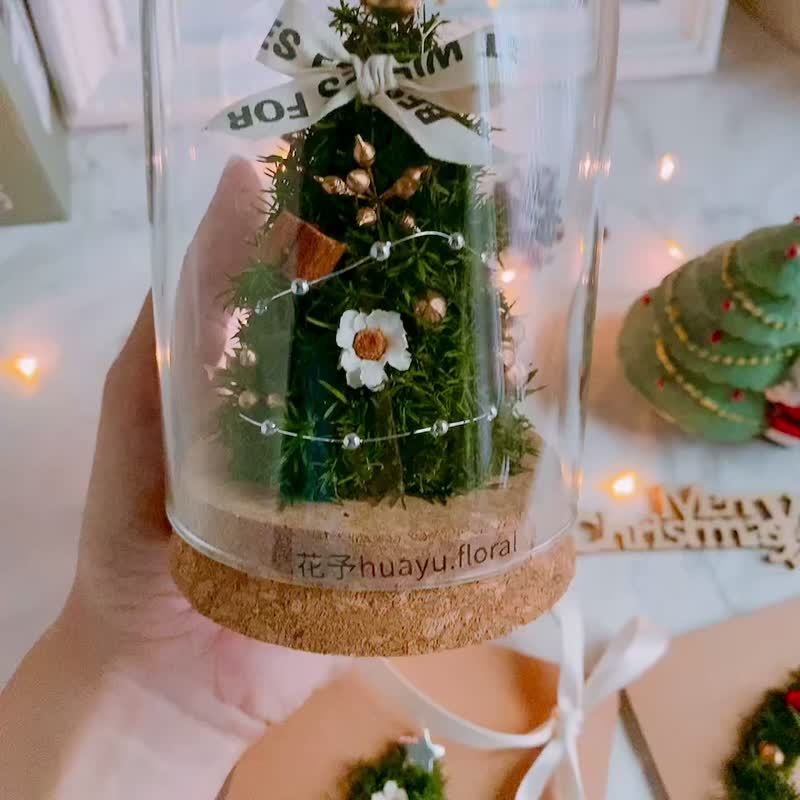 乾燥花 永生花 日本雪松 聖誕節 聖誕禮物 聖誕樹 交換禮物 - 乾燥花/永生花 - 植物．花 綠色