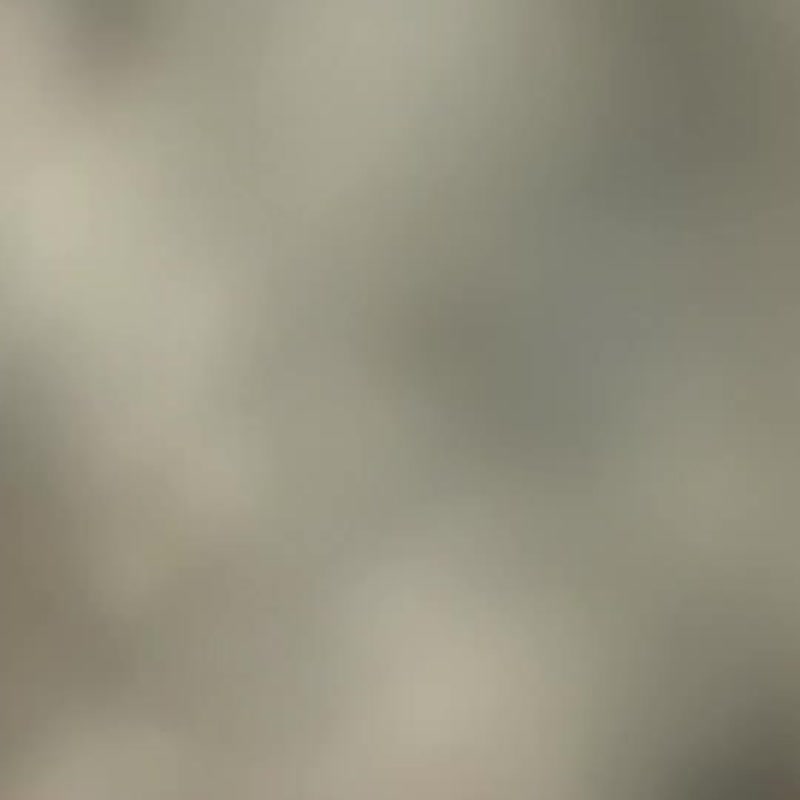 silkmaster × nakaoteppei Skateboards - Posters - Wood Multicolor