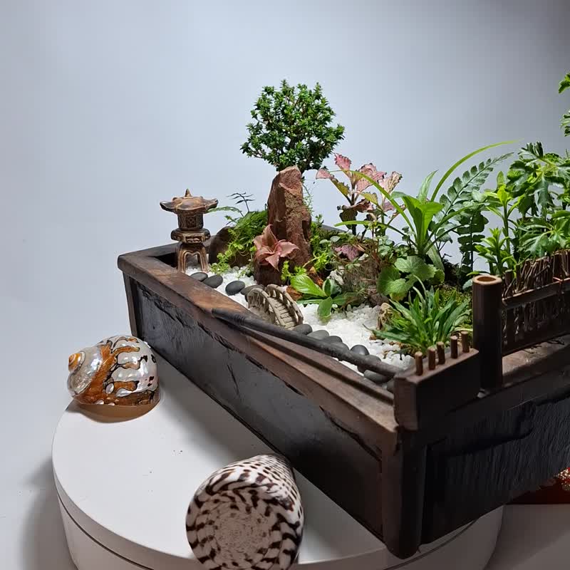 和風庭園組景 - 植栽/盆栽 - 玻璃 