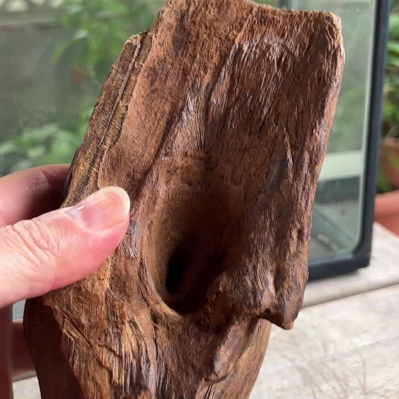 加里曼丹 野生沉香老料 670公克 沉香擺件 【沉水級】 星洲系 - 擺飾/家飾品 - 木頭 咖啡色