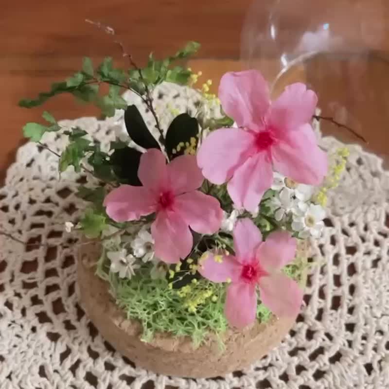 [Limited Edition] Pink Eternal Cherry Blossom Glass Cup/Eternal Flower/Glass Flower Cup/Eternal Flower Gift/Table Flower - ช่อดอกไม้แห้ง - พืช/ดอกไม้ 