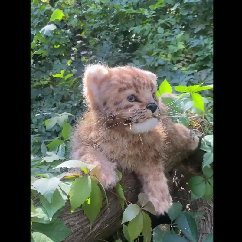 レオ リアルな子ヒョウのぬいぐるみ ハンドメイド 40cm - 置物 - その他の素材 カーキ