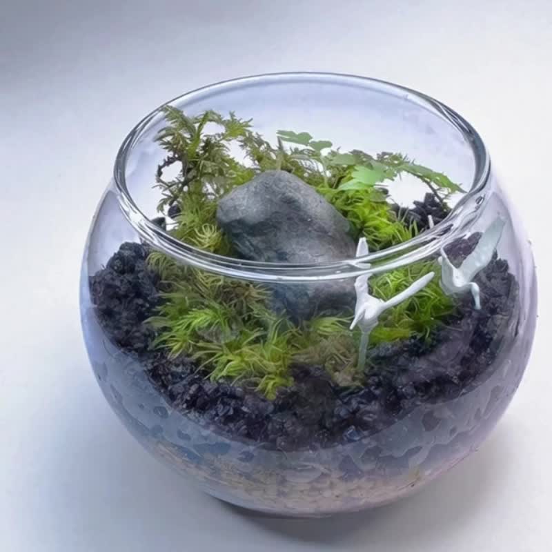 Flying Wing to Wing / Miniature Handcrafted Terrarium - ตกแต่งต้นไม้ - พืช/ดอกไม้ 